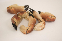 Crab Claws