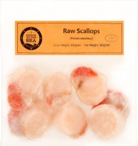 Raw Scallops