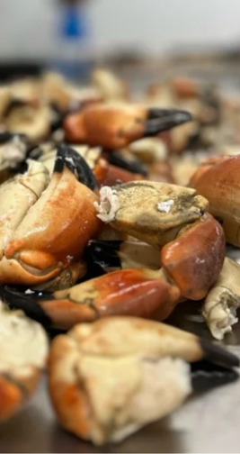Crab Claws